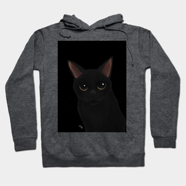 Black cat in black Hoodie by BATKEI